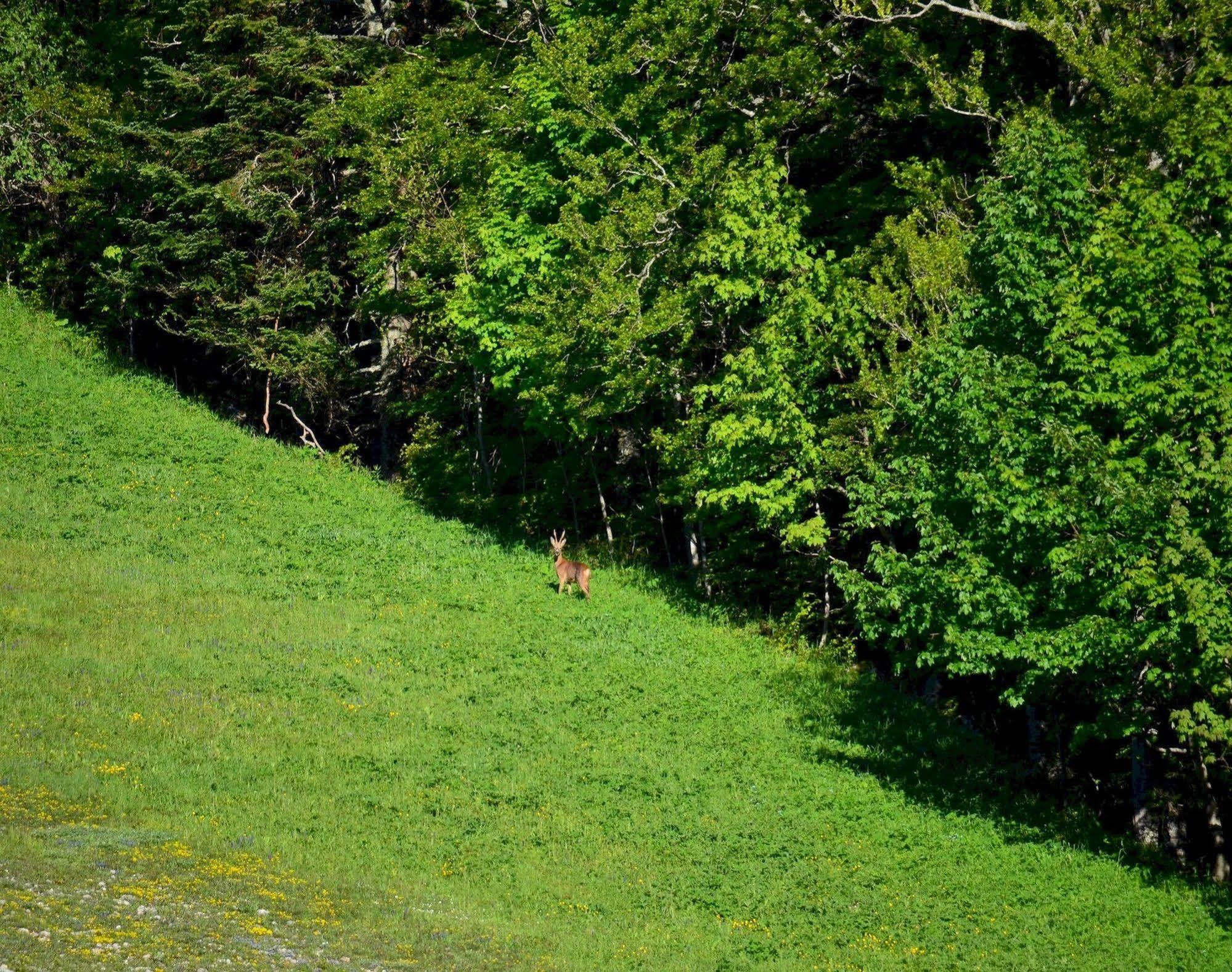 Val Lachard Villard-de-Lans Extérieur photo